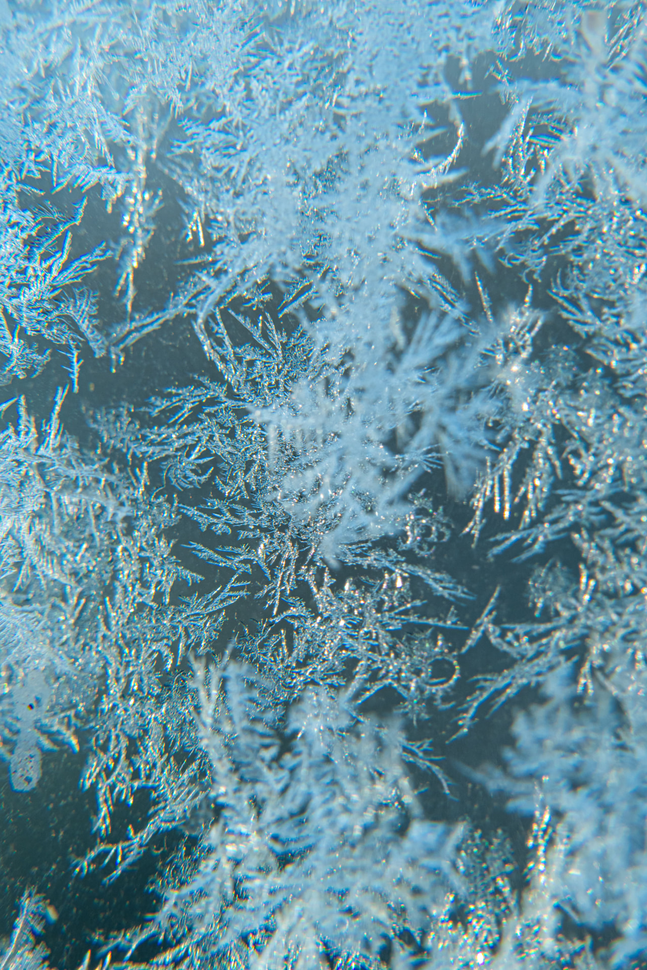 Un Hiver de Glace
